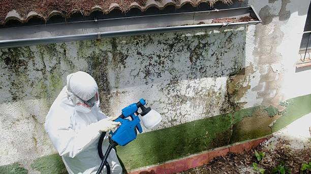 Trusted Mold Testing service in Moorestown, NJ - Cheap Mold Removal